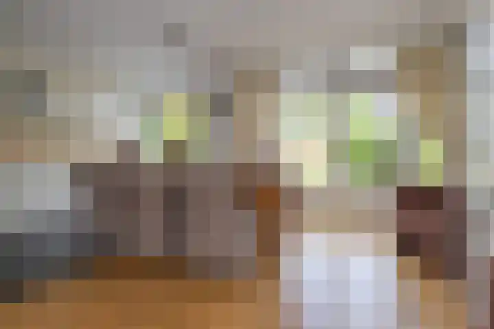 Goeman Borgesiuslaan 36 Naarden thumbnail 6