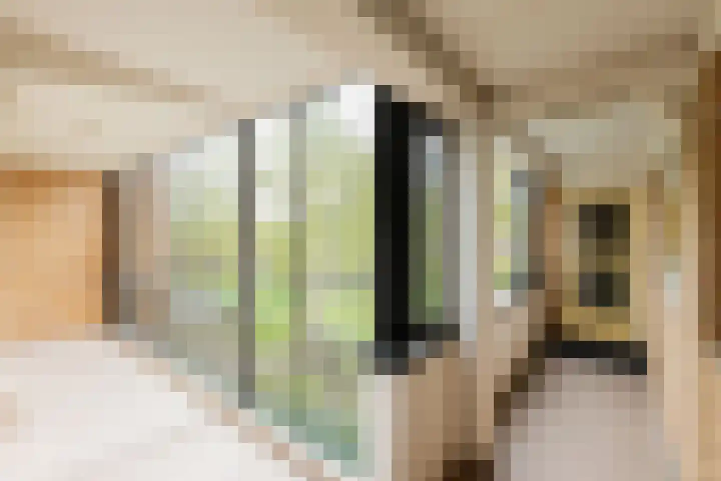 Goeman Borgesiuslaan 53 Groningen thumbnail 11