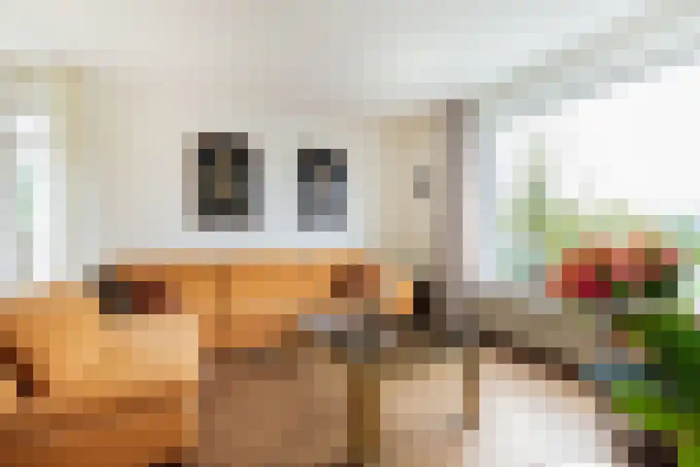 Goeman Borgesiuslaan 53 Groningen thumbnail 19