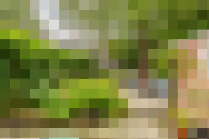 Goeman Borgesiuslaan 72 Groningen thumbnail 15