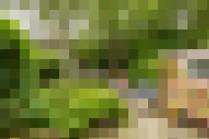 Goeman Borgesiuslaan 72 Groningen thumbnail 16
