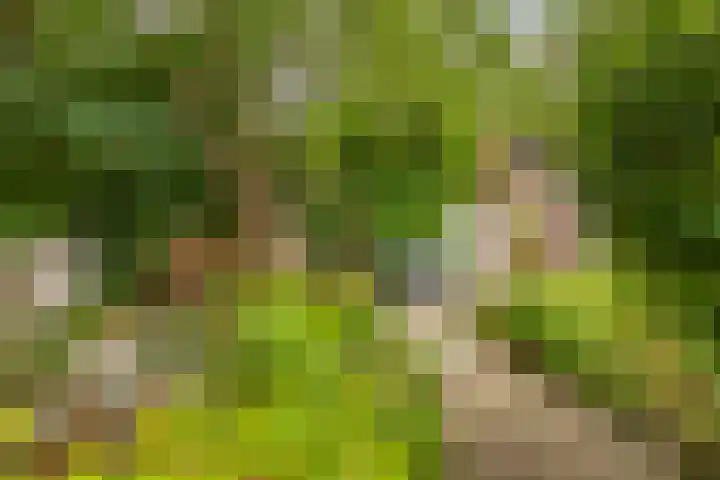 Goeman Borgesiuslaan 72 Groningen thumbnail 17