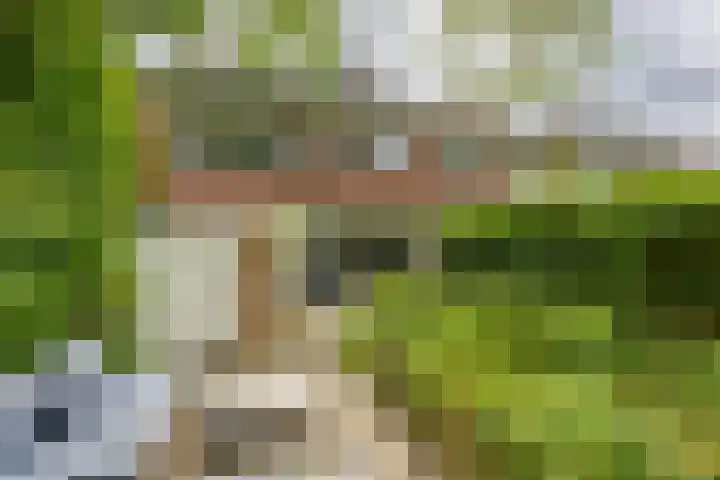 Goeman Borgesiuslaan 72 Groningen thumbnail 18