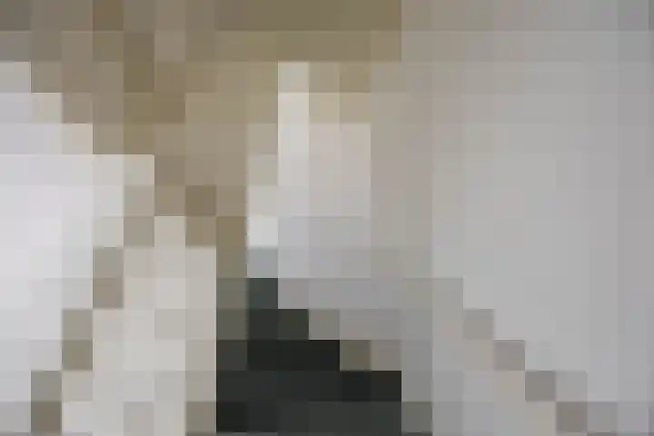 Goeman Borgesiuslaan 72 Groningen thumbnail 23
