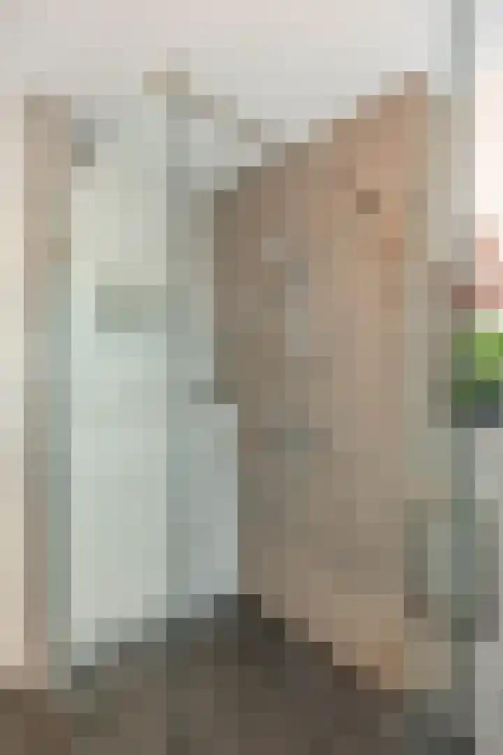 Goeman Borgesiuslaan 72 Groningen thumbnail 29