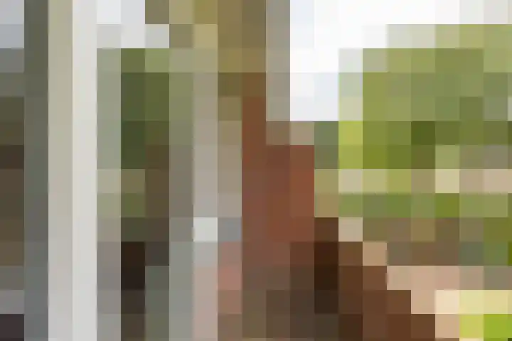 Goeman Borgesiuslaan 72 Groningen thumbnail 38