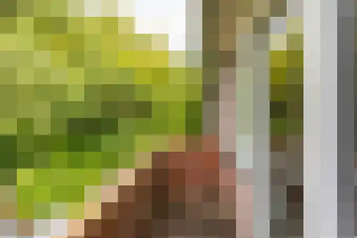 Goeman Borgesiuslaan 72 Groningen thumbnail 39