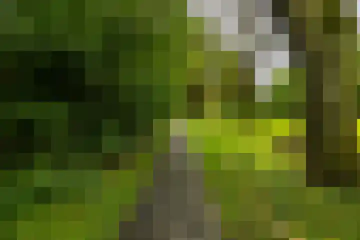 Goeman Borgesiuslaan 72 Groningen thumbnail 47