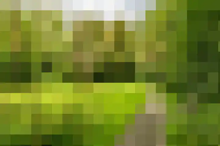 Goeman Borgesiuslaan 72 Groningen thumbnail 48
