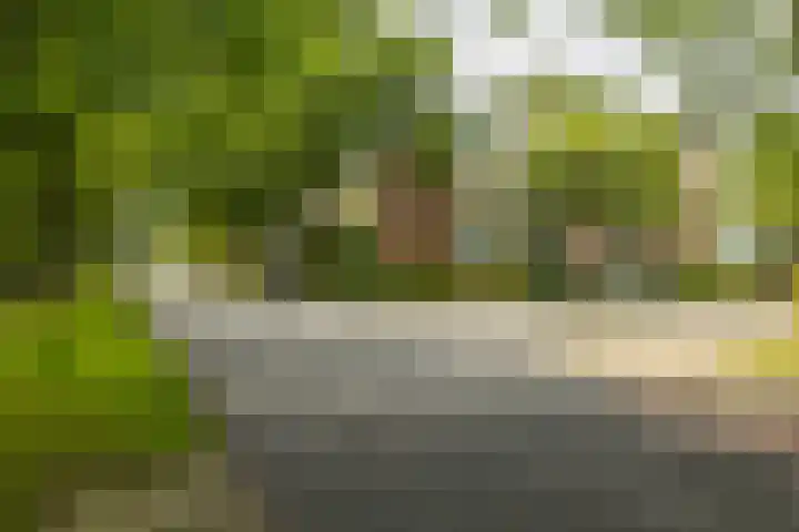 Goeman Borgesiuslaan 72 Groningen thumbnail 49