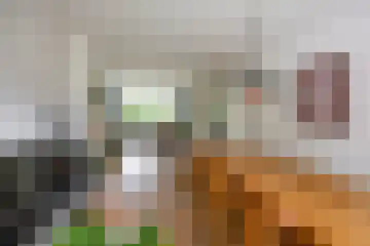 Goeman Borgesiuslaan 72 Groningen thumbnail 6