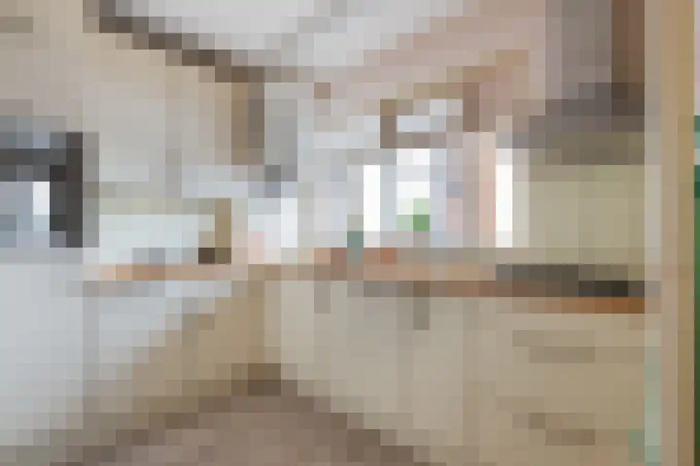Goeman Borgesiuslaan 81 Groningen thumbnail 20
