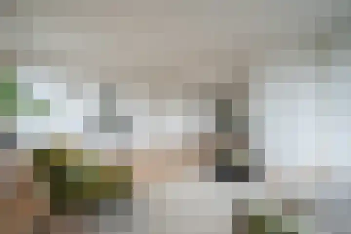Goeman Borgesiuslaan 87 Groningen thumbnail 21