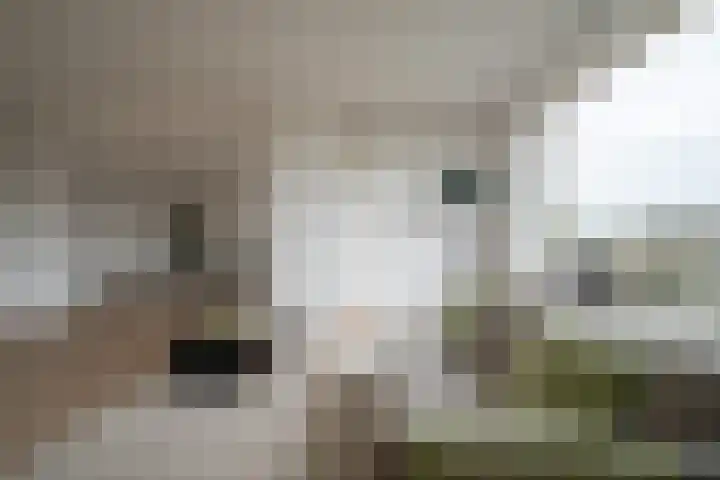 Goeman Borgesiuslaan 87 Groningen thumbnail 22