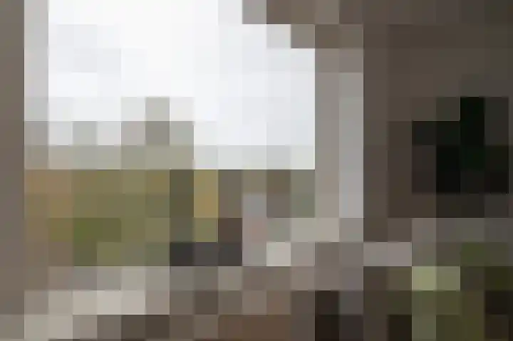 Goeman Borgesiuslaan 87 Groningen thumbnail 23