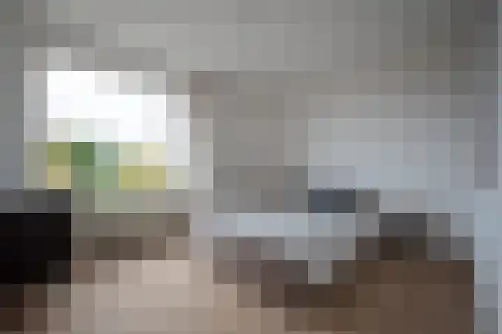 Goeman Borgesiuslaan 87 Groningen thumbnail 29