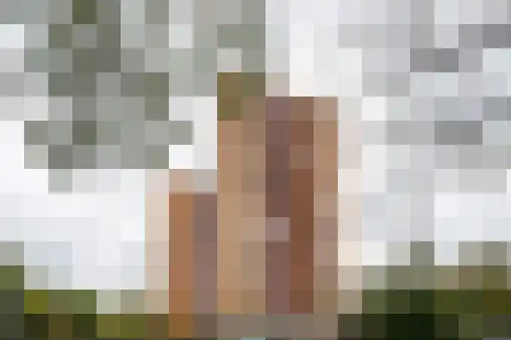 Goeman Borgesiuslaan 87 Groningen thumbnail 6