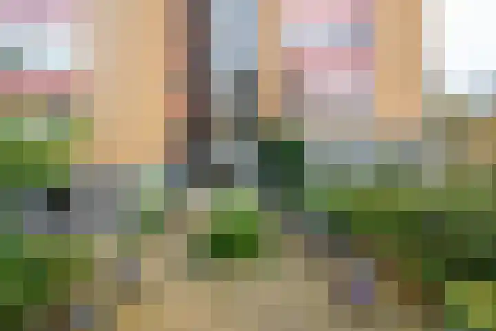 Goeman Borgesiuslaan 87 Groningen thumbnail 7