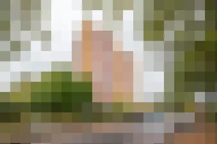 Goeman Borgesiuslaan 87 Groningen thumbnail 8