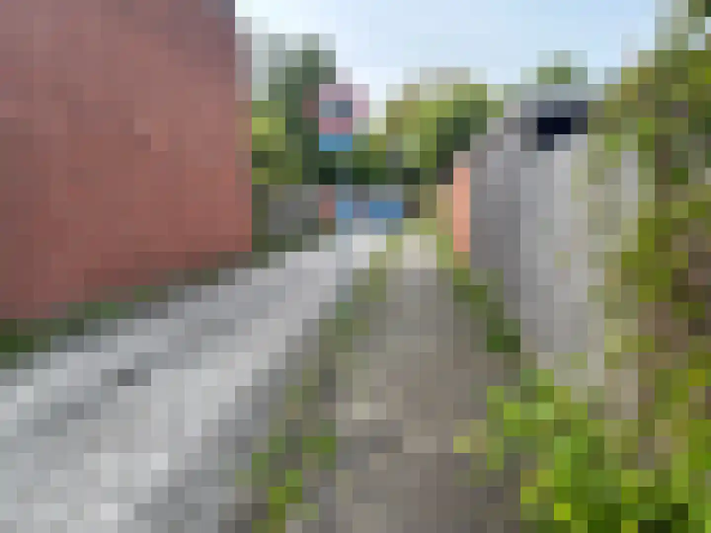 Goeman Borgesiuslaan 90 bg Groningen thumbnail 6