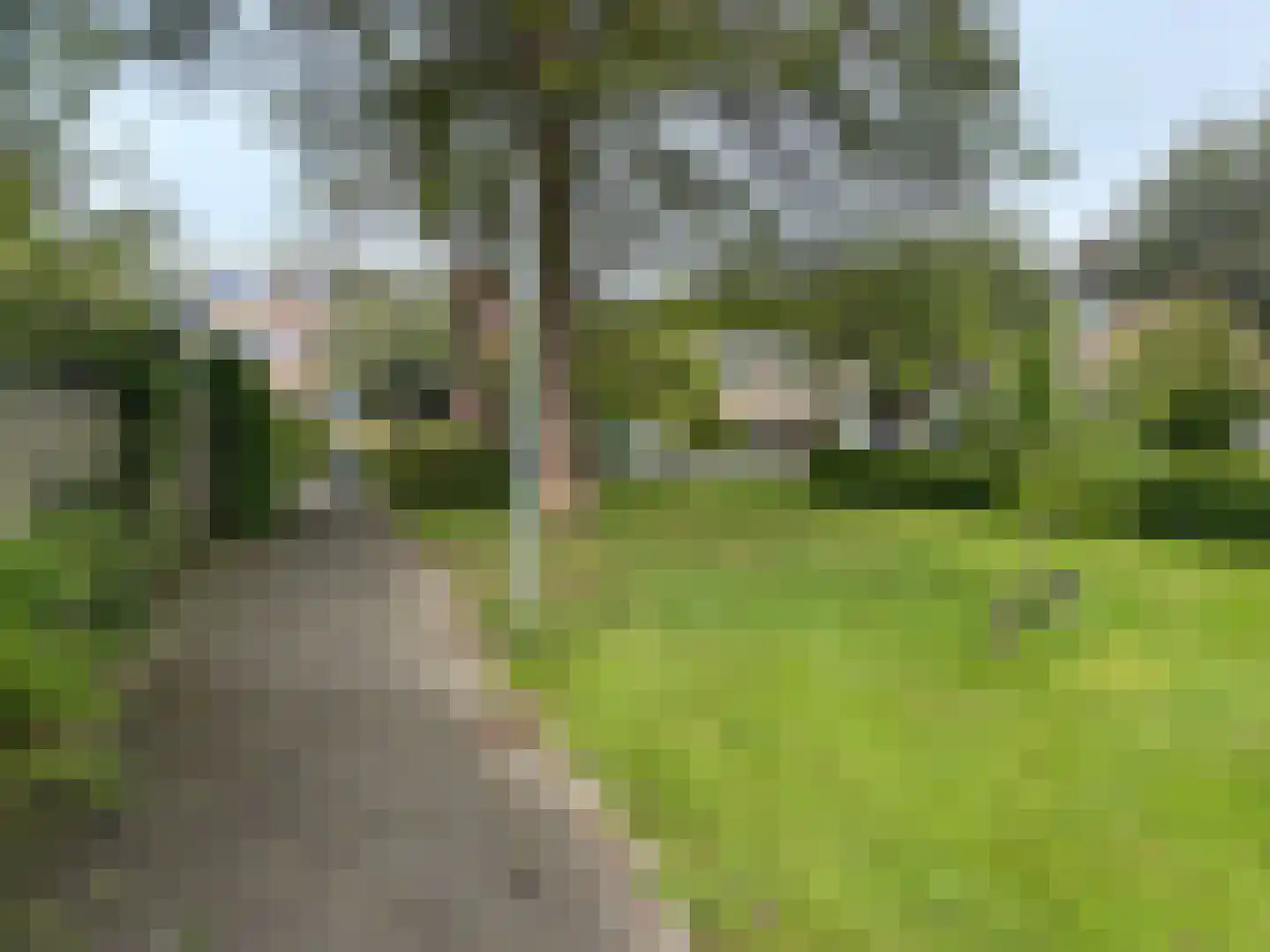 Goeman Borgesiuslaan 90 bg Groningen thumbnail 8