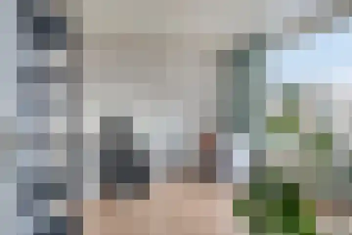 Goeman Borgesiusplantsoen 1 Dordrecht thumbnail 17