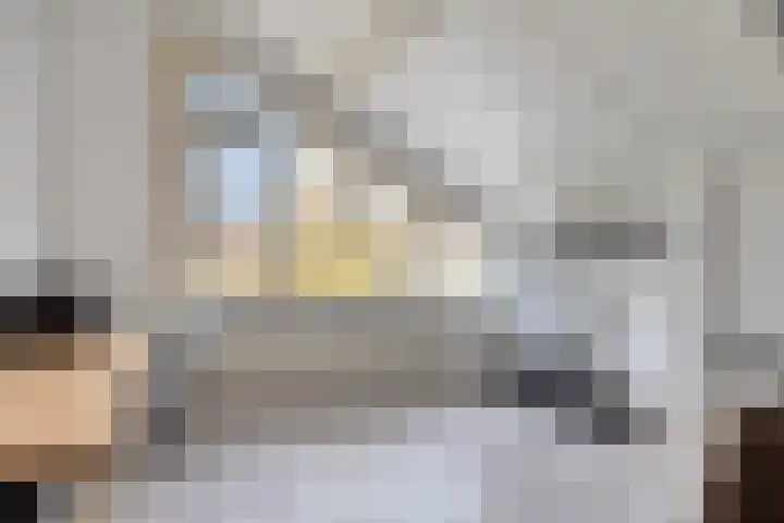 Goeman Borgesiusplantsoen 1 Dordrecht thumbnail 22