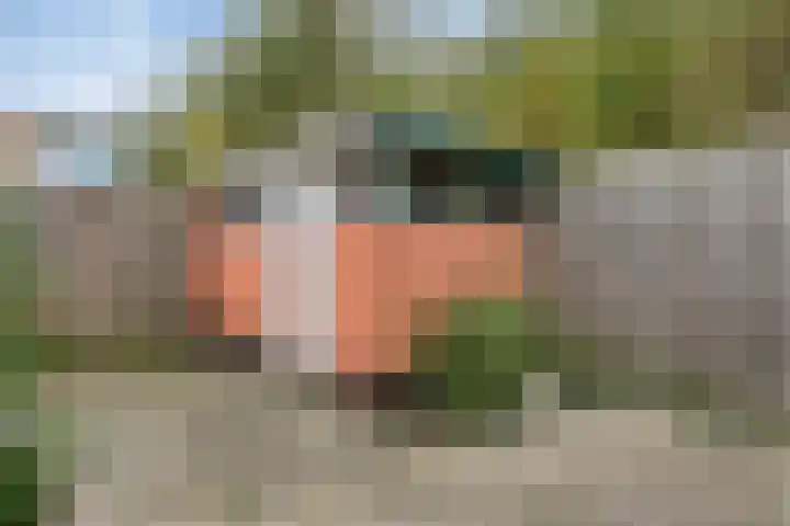 Goeman Borgesiusplantsoen 1 Dordrecht thumbnail 29