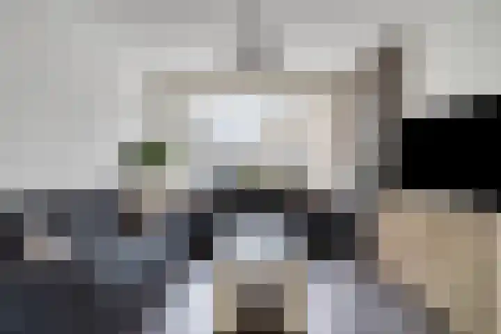 Goeman Borgesiusplantsoen 1 Dordrecht thumbnail 6