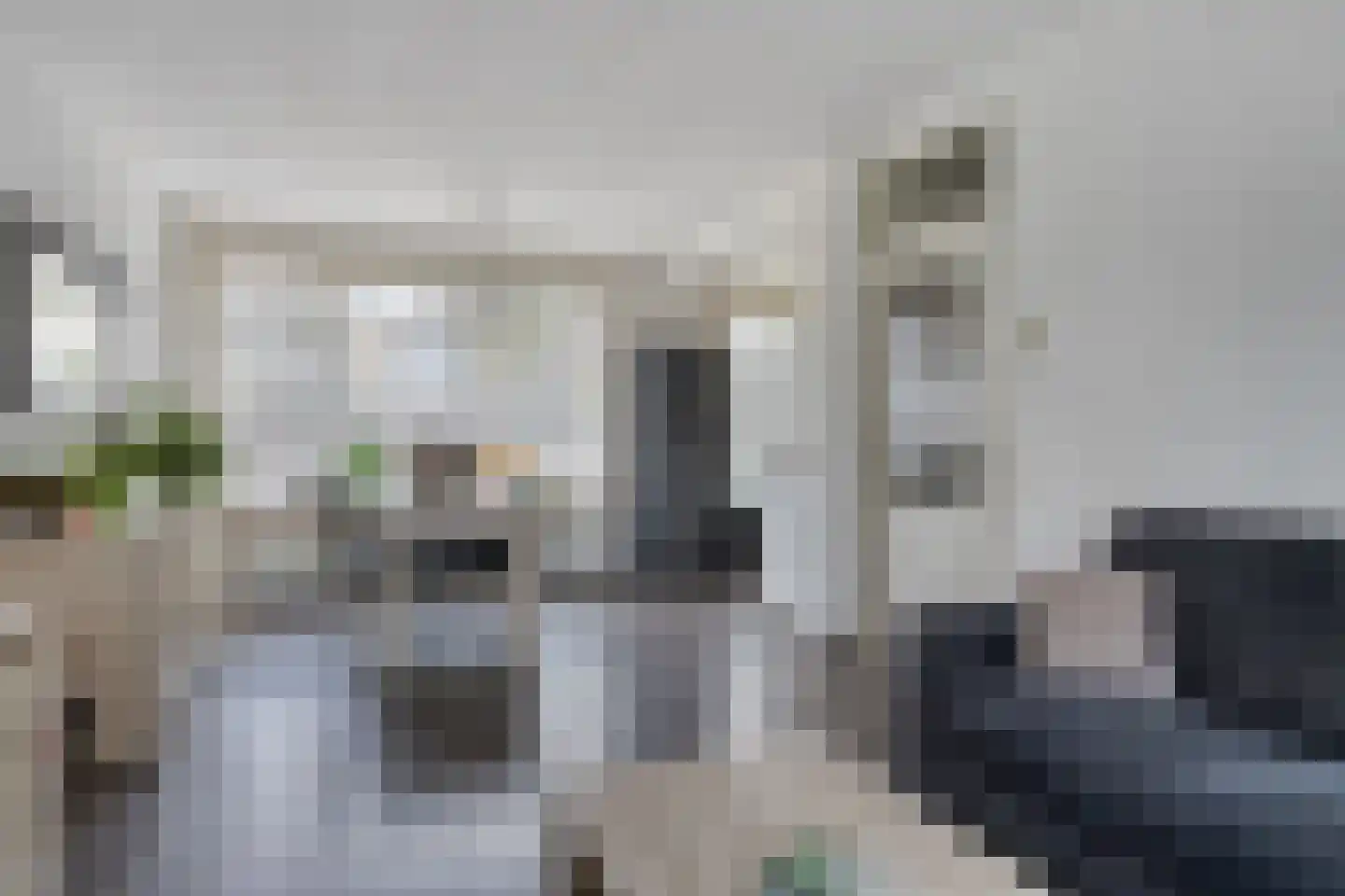 Goeman Borgesiusplantsoen 1 Dordrecht thumbnail 7
