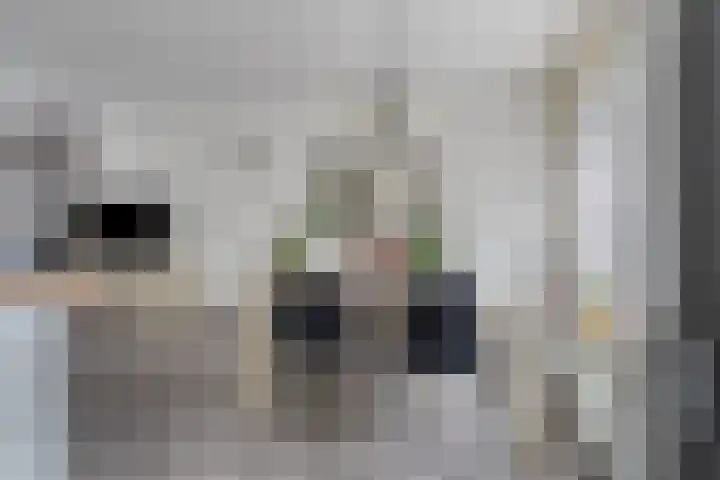Goeman Borgesiusplantsoen 1 Dordrecht thumbnail 8