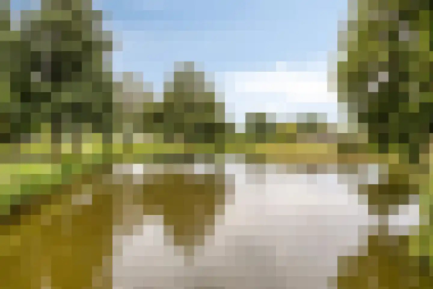 Goeman Borgesiusplantsoen 3 Dordrecht thumbnail 22