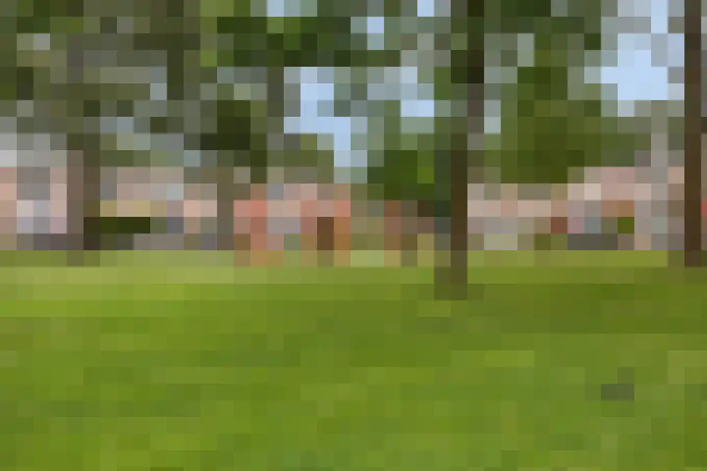Goeman Borgesiusplantsoen 3 Dordrecht thumbnail 24
