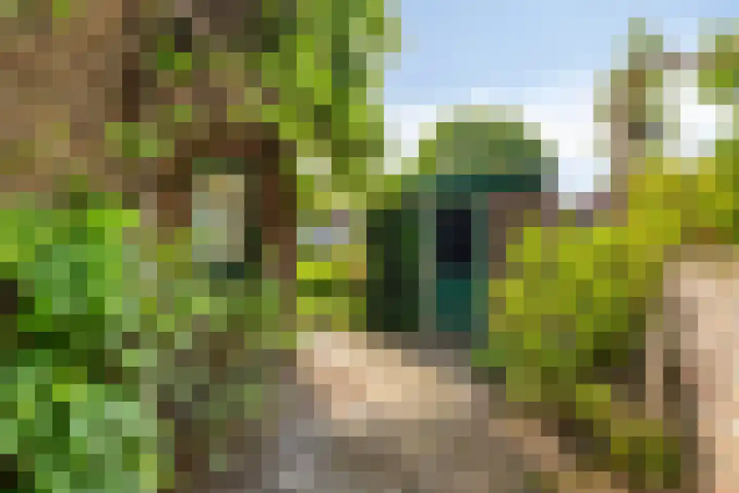 Goeman Borgesiusplein 5 Arnhem thumbnail 32