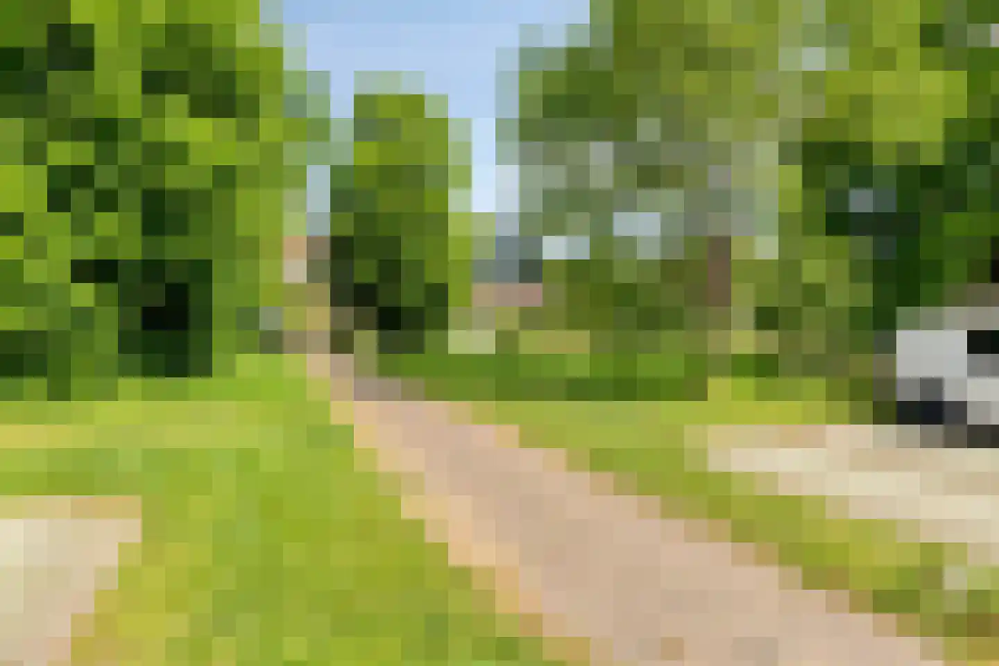 Goeman Borgesiusplein 5 Arnhem thumbnail 35