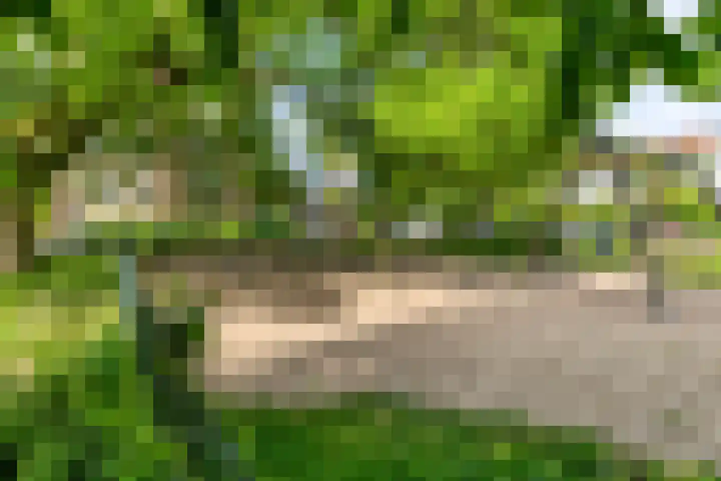 Goeman Borgesiusplein 5 Arnhem thumbnail 37
