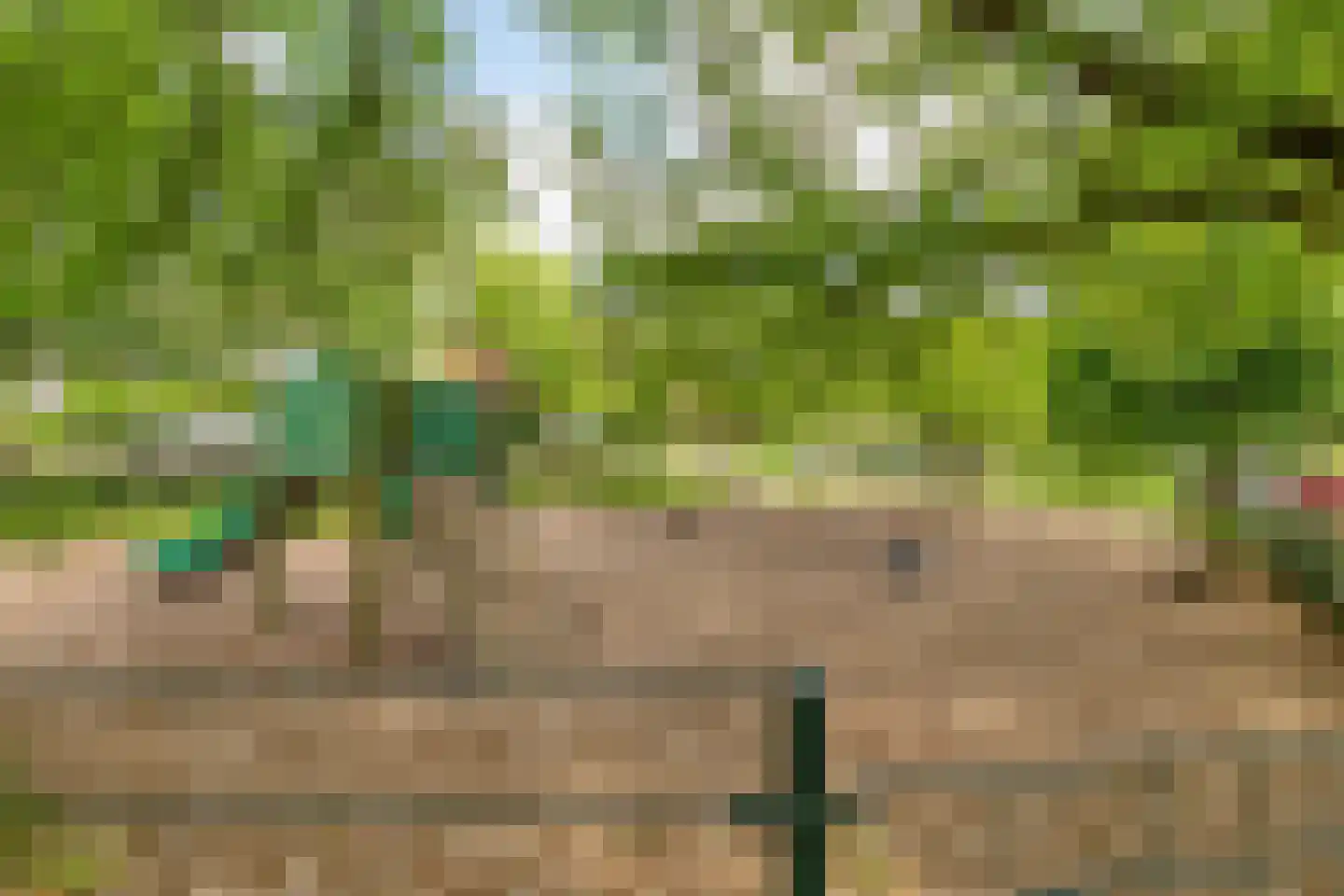 Goeman Borgesiusplein 5 Arnhem thumbnail 38