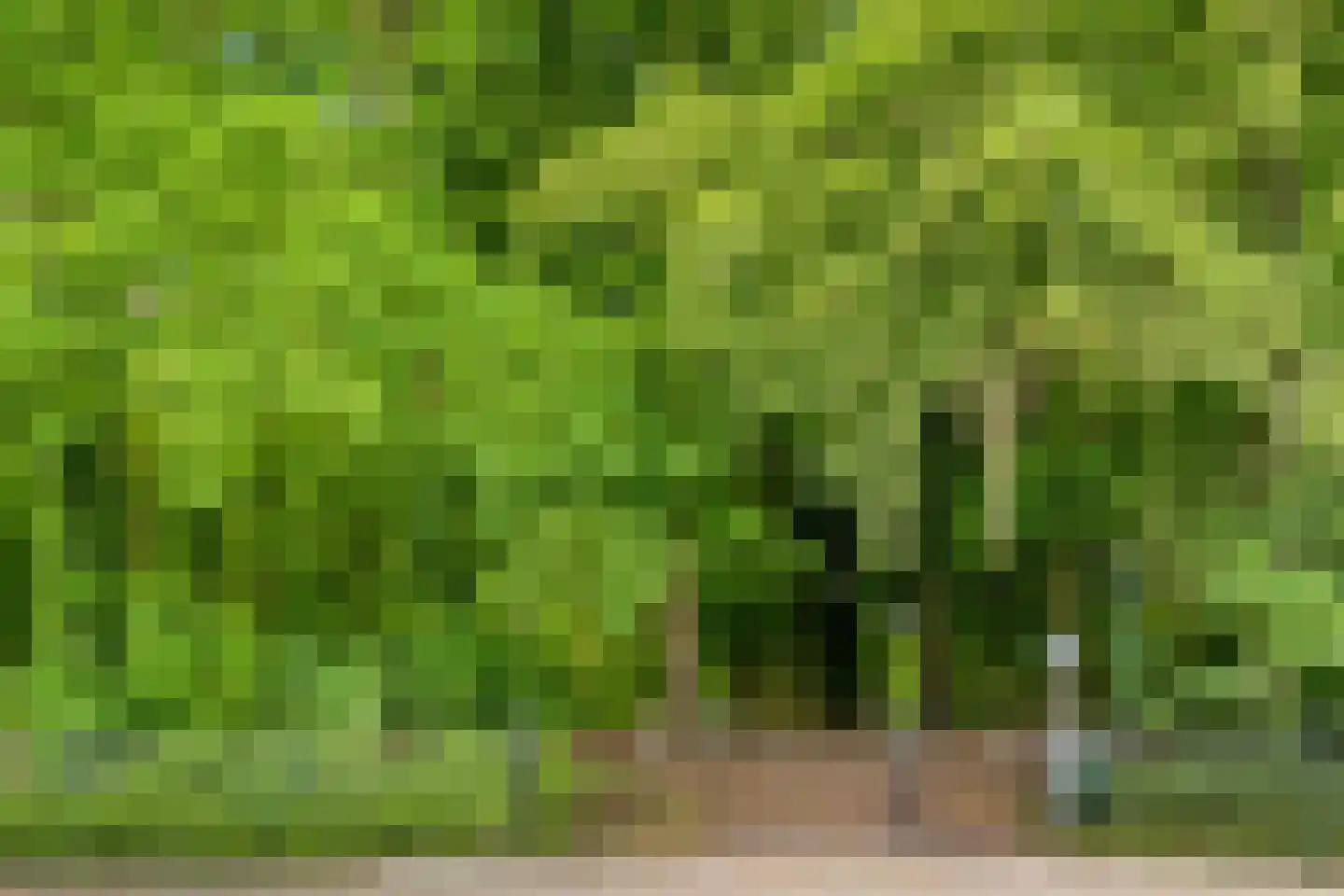 Goeman Borgesiusplein 5 Arnhem thumbnail 39