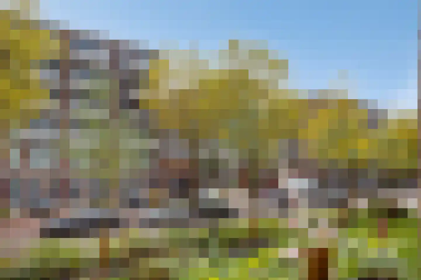 Goeman Borgesiusstraat 1 Amsterdam thumbnail 20