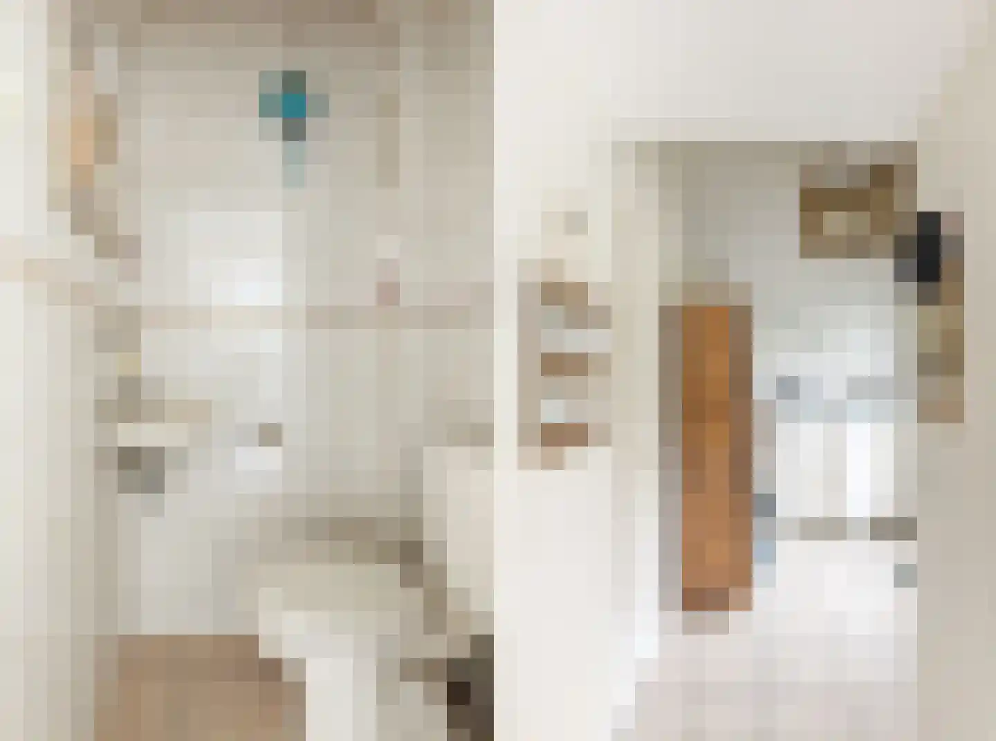 Goeman Borgesiusstraat 2 Vlissingen thumbnail 12