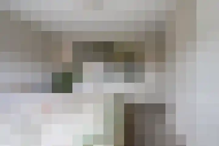Goeman Borgesiusstraat 29 Brummen thumbnail 15