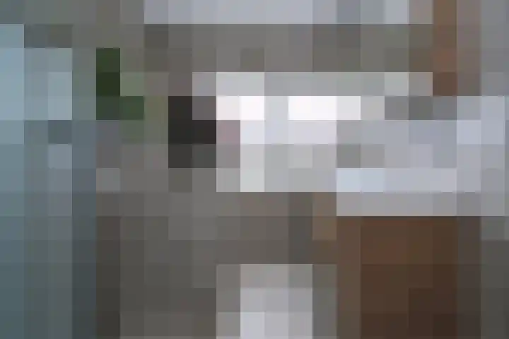 Goeman Borgesiusstraat 29 Brummen thumbnail 5