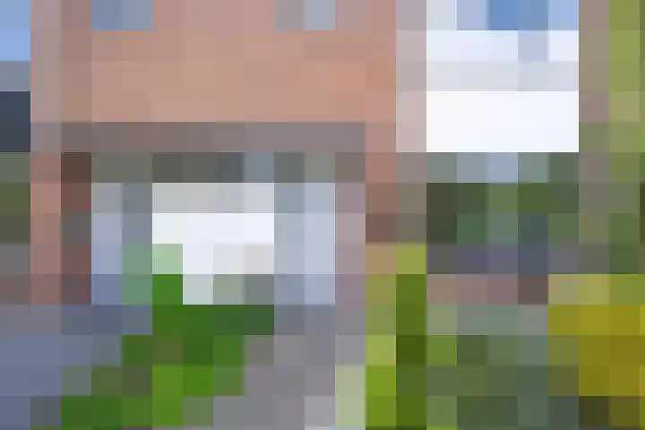Goeman Borgesiusstraat 29 Brummen thumbnail 7