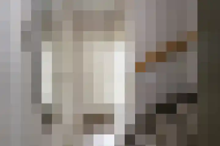 Goeman Borgesiusstraat 29 Brummen thumbnail 8