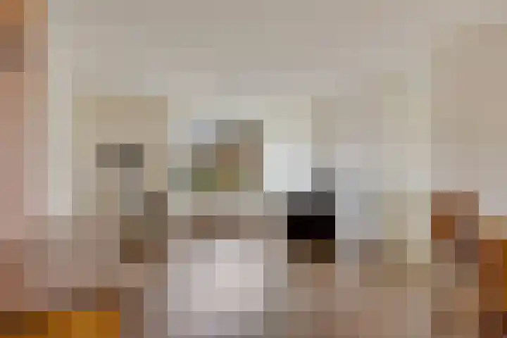 Goeman Borgesiusstraat 34 Veenoord thumbnail 12