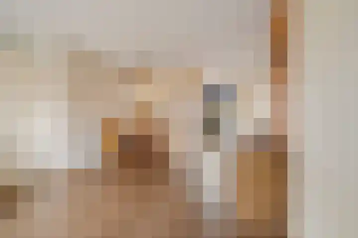 Goeman Borgesiusstraat 34 Veenoord thumbnail 14