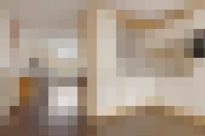 Goeman Borgesiusstraat 34 Veenoord thumbnail 16