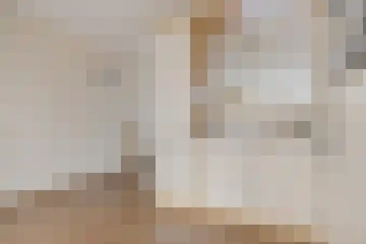 Goeman Borgesiusstraat 34 Veenoord thumbnail 17