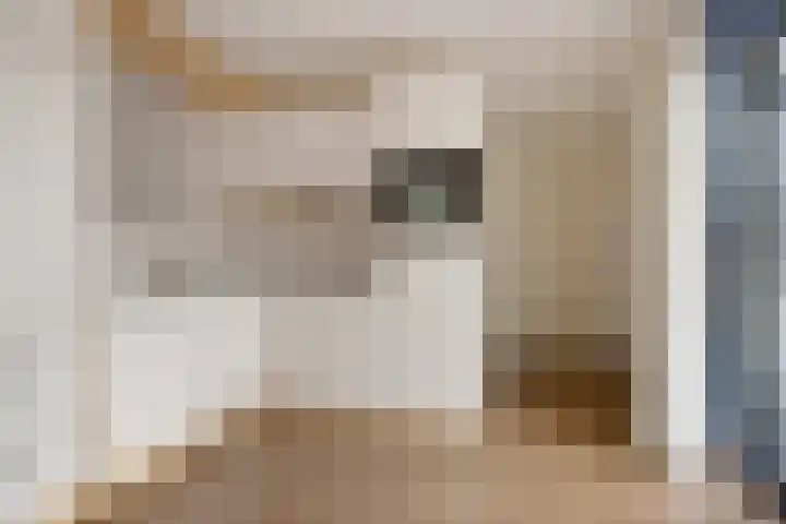 Goeman Borgesiusstraat 34 Veenoord thumbnail 18