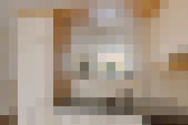 Goeman Borgesiusstraat 34 Veenoord thumbnail 19